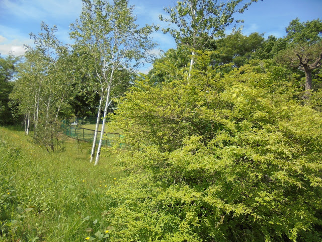 ホテル旬香大山リゾート