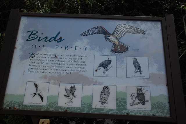 Fakahatchee Strand Preserve State Park