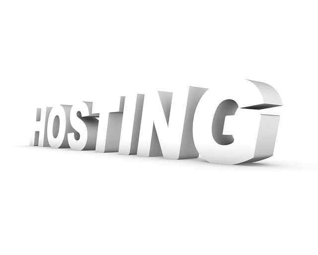 what is web hosting | वेब होस्टिंग क्या है कैसे काम करता है, host meaning in hindi