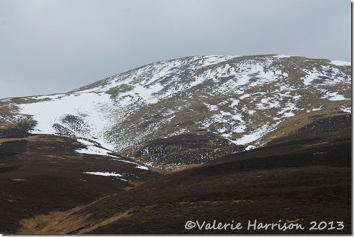 26-pentlands