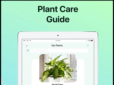 Picture This App- Easily Identify Plants, Trees, and Flowers