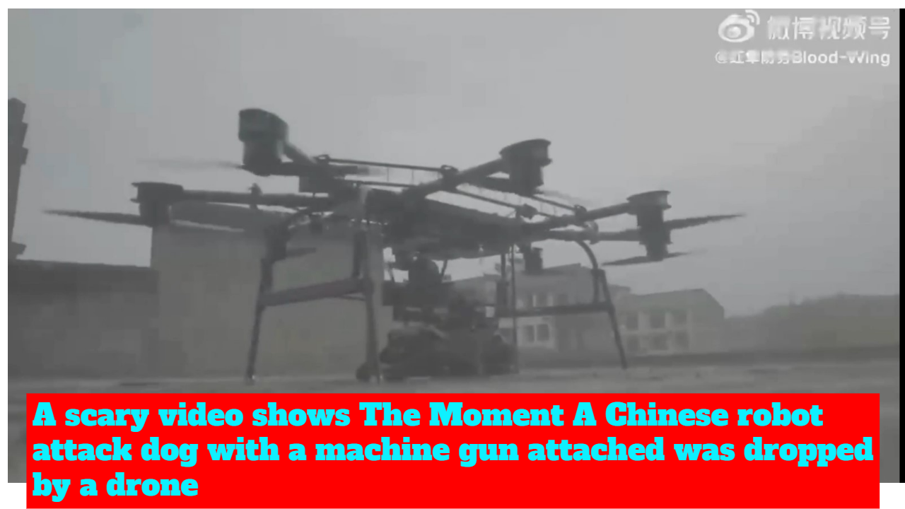 A scary video shows The Moment A Chinese robot attack dog with a machine gun attached was dropped by a drone
