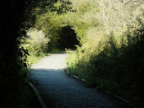 Ainsdale Sandhills Nature Reserve