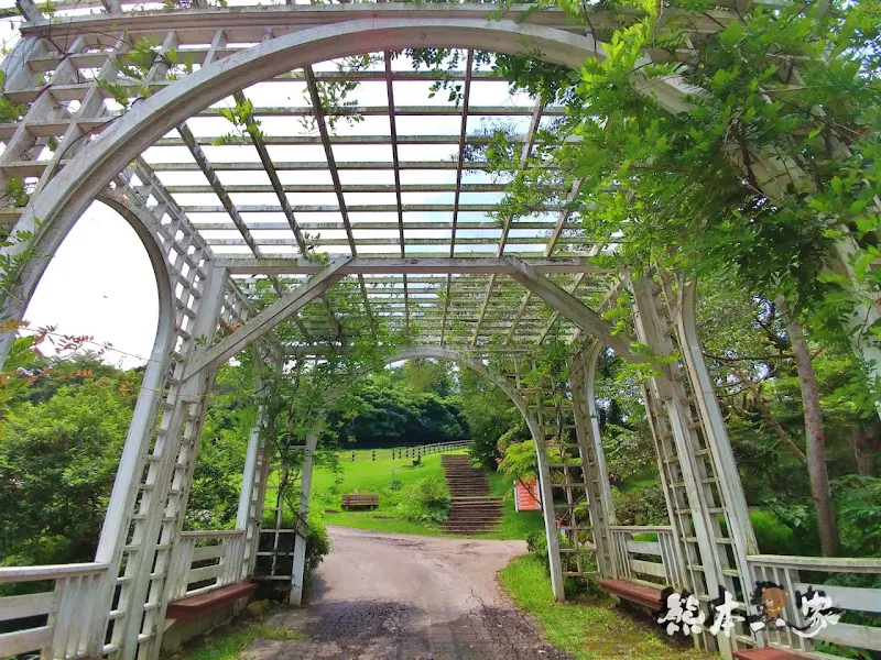 一秒到歐洲｜苗栗飛牛牧場｜最美牧場和大草原~野餐嬉戲觀乳牛、人工濕地護自然