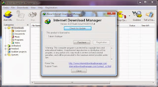 Picture showing Registered IDM 6.07 Build 3