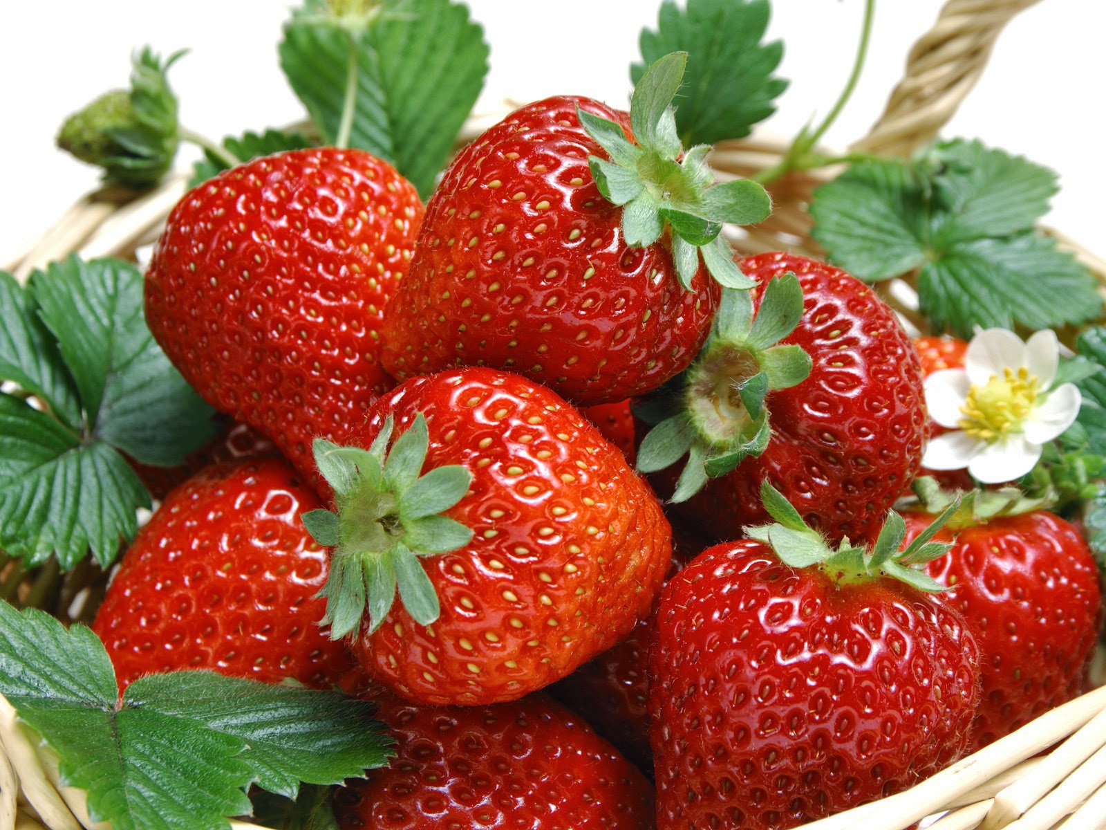  Gambar Buah Strawberry  Merah Segar Aku Buah  Sehat