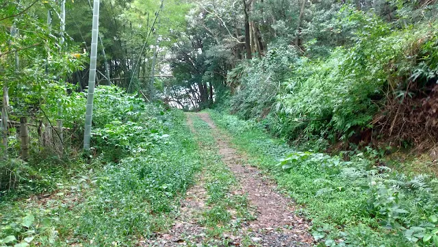 長崎県川棚町  片島公園（魚雷発射試験場跡）