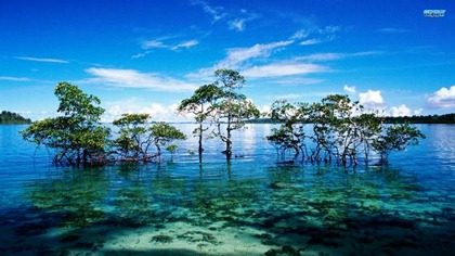 Havelock-Island-Beach