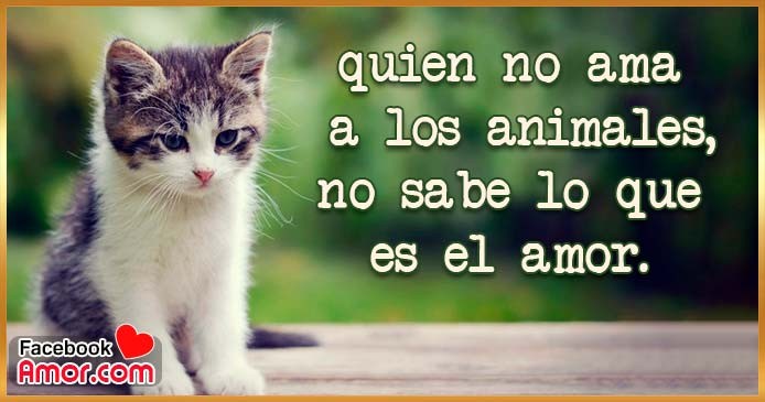 frases de animales