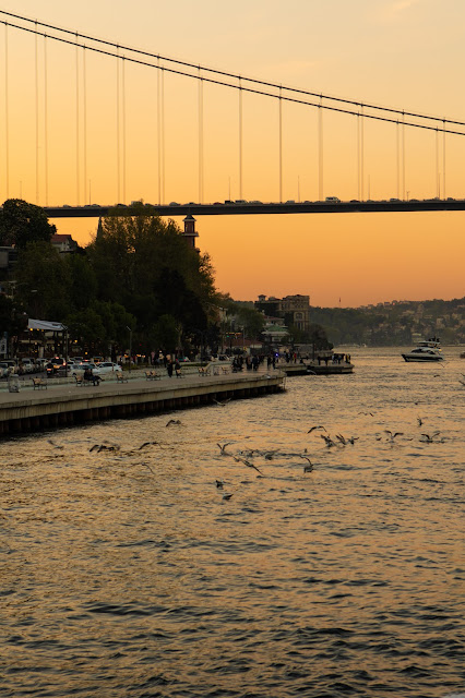 Crociera al tramonto sul Bosforo con Turyol-Istanbul