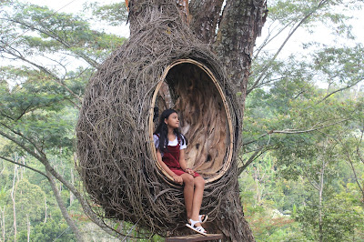 Ni Kadek Paranita Della Cahyani - sarang burung Air terjun Cinta Wanagiri