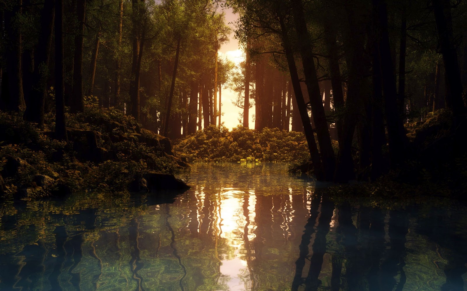 Magic Forest Pond Nature Backgrounds