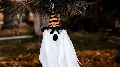 Dia das Bruxas, Fantasma, Chapéu, Halloween