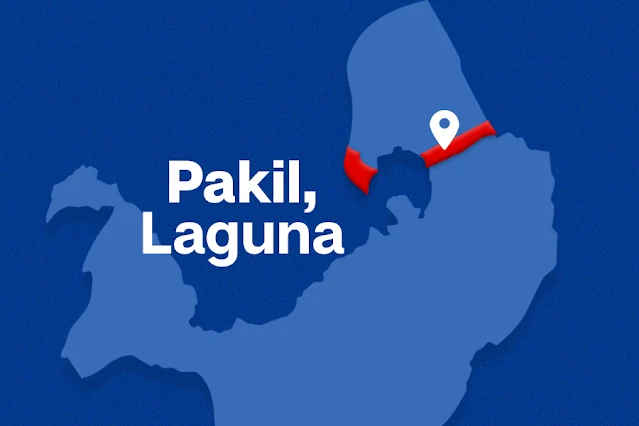 High-ranking NPA leader, arrested in Laguna