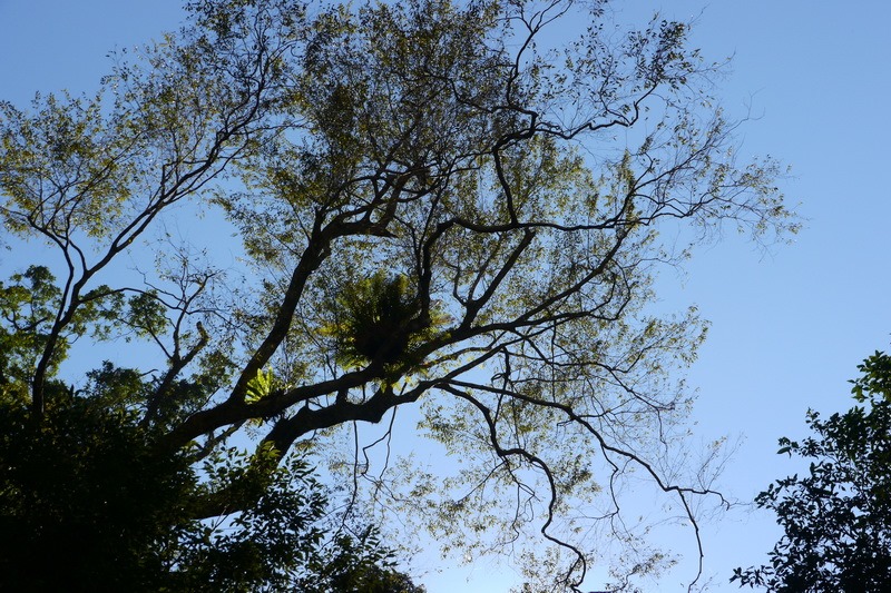 2014_0101-0105 萬山神石、萬山岩雕順訪萬頭蘭山_0342