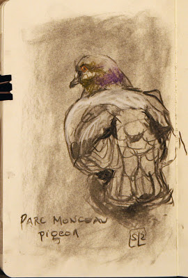 Parc Monceau pigeon sketch, by Shannon Reynolds