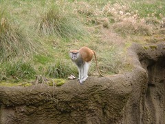 CIMG0885