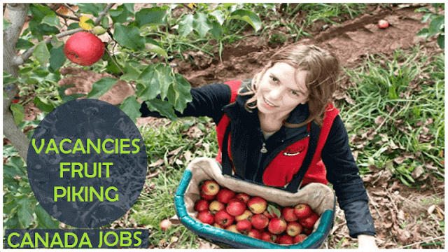 how to apply for farm work vacancies in canada