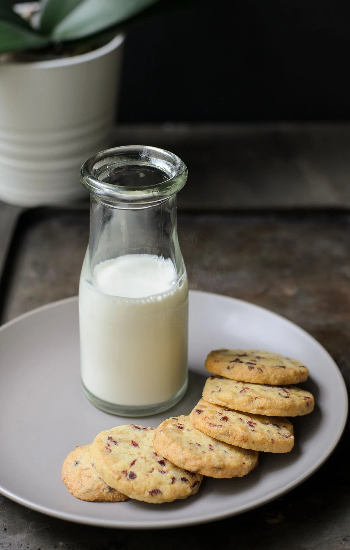 Cranberry cookies