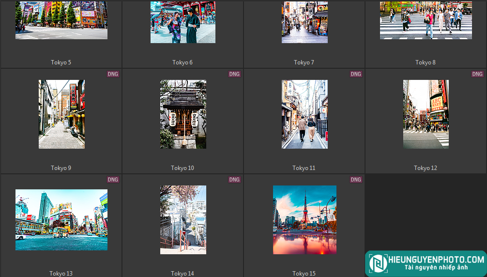 15 Preset Lightroom Tokyo