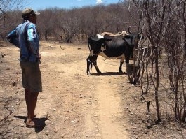 PARAÍBA: Agricultores atingidos pela seca poderão renegociar dívidas