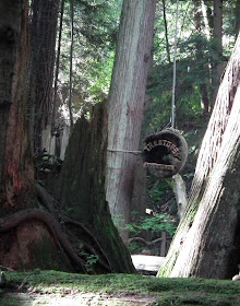 Treetops Adventure sign at Capilano Suspension Bridge 