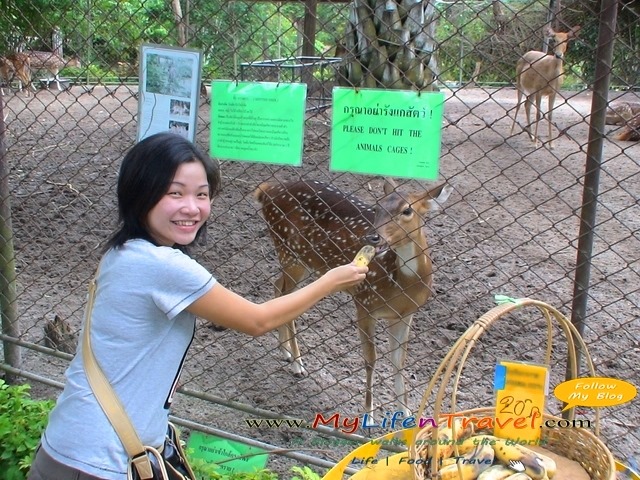 Thailand Phuket Zoo 05