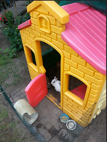 cabane d'enfant pour lapins