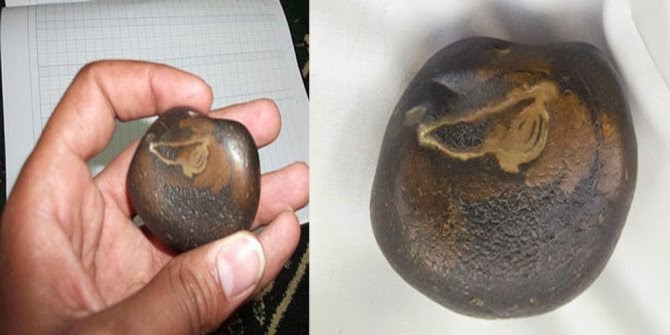 Batu Ababil ditemukan, Tidak untuk dijual  KLIK BAGIKAN