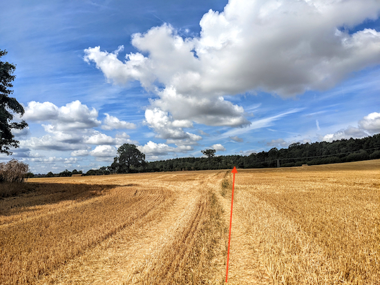 After the woodland on the left follow the line of the orange arrow