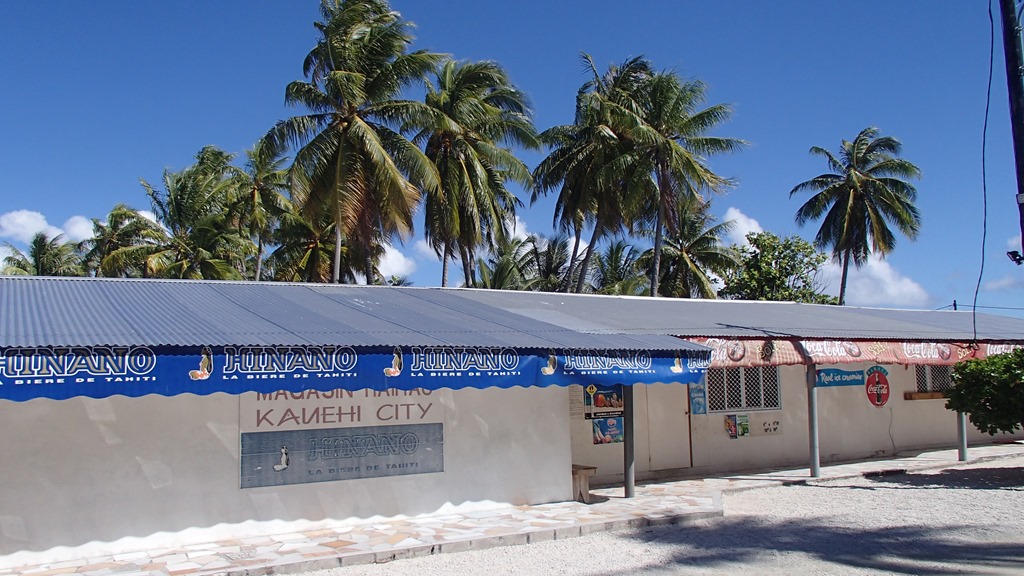 P6131094