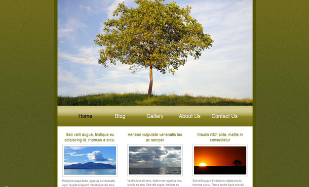 Free HTML CSS Abstract Green Textured Nature Jquery Website Template 