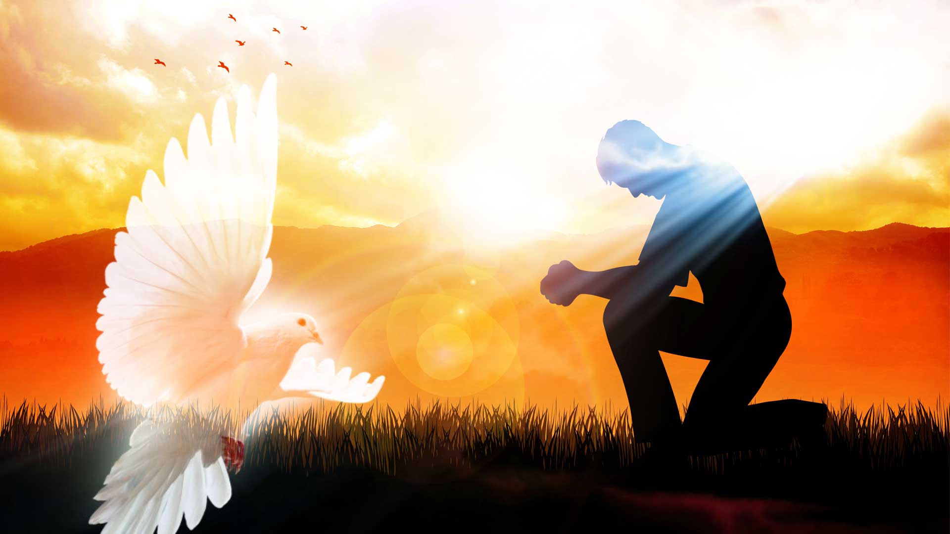 Los Frutos del Espíritu Santo: Paciencia, Amabilidad y Bondad