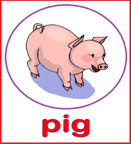 Animal Flashcards - Pig