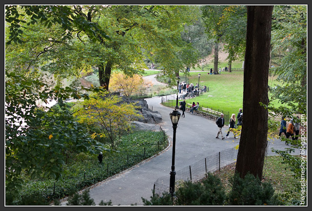 Central Park desde Central Park Street