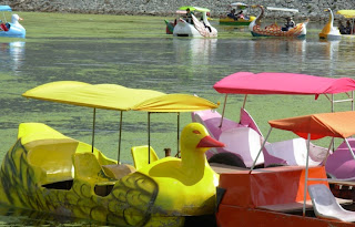 Amarillo Pato, como el de estos Barquitos chocones que osan disturbar la uniformidad de colores del Lago sagrado del Titicaca: siempre habrá un ocurrente que rompa la monotonía monócroma de un sitio que ha sido por siglos muestra de tradición... ¿Acaso vendrá ahora una rueda de la fortuna para hacer de Puno la capital ferial del país?