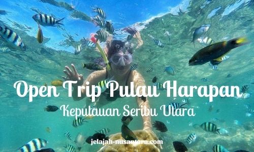 wisata gabungan trip pulau harapan