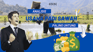 Analisis Usaha Padi Sawah Pasti Untung