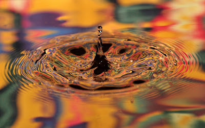 Water Drop Macro Widescreen HD Wallpaper