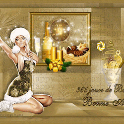 Bonne Année 2017