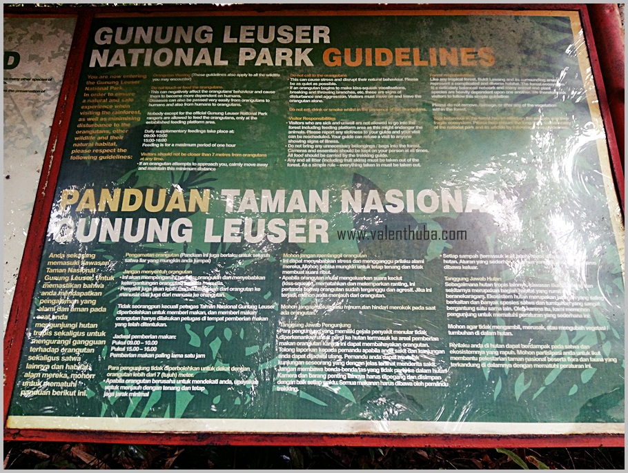 Panduan Taman Nasional Gunung Leuser