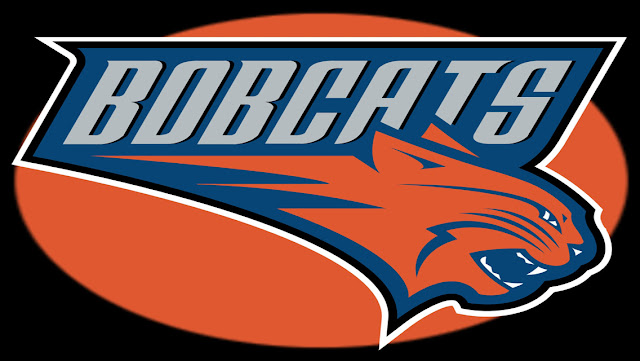 Eastern NBA Team Logo Wallpapers for iPhone 5 - Charlotte Bobcats