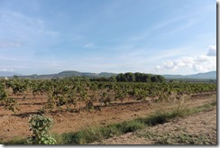 P1020687