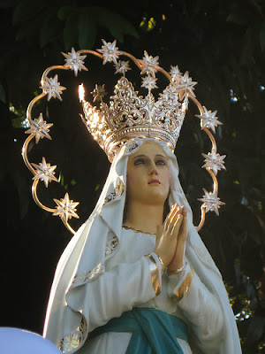 La Virgen De Lourdes Coronada de Estrellas