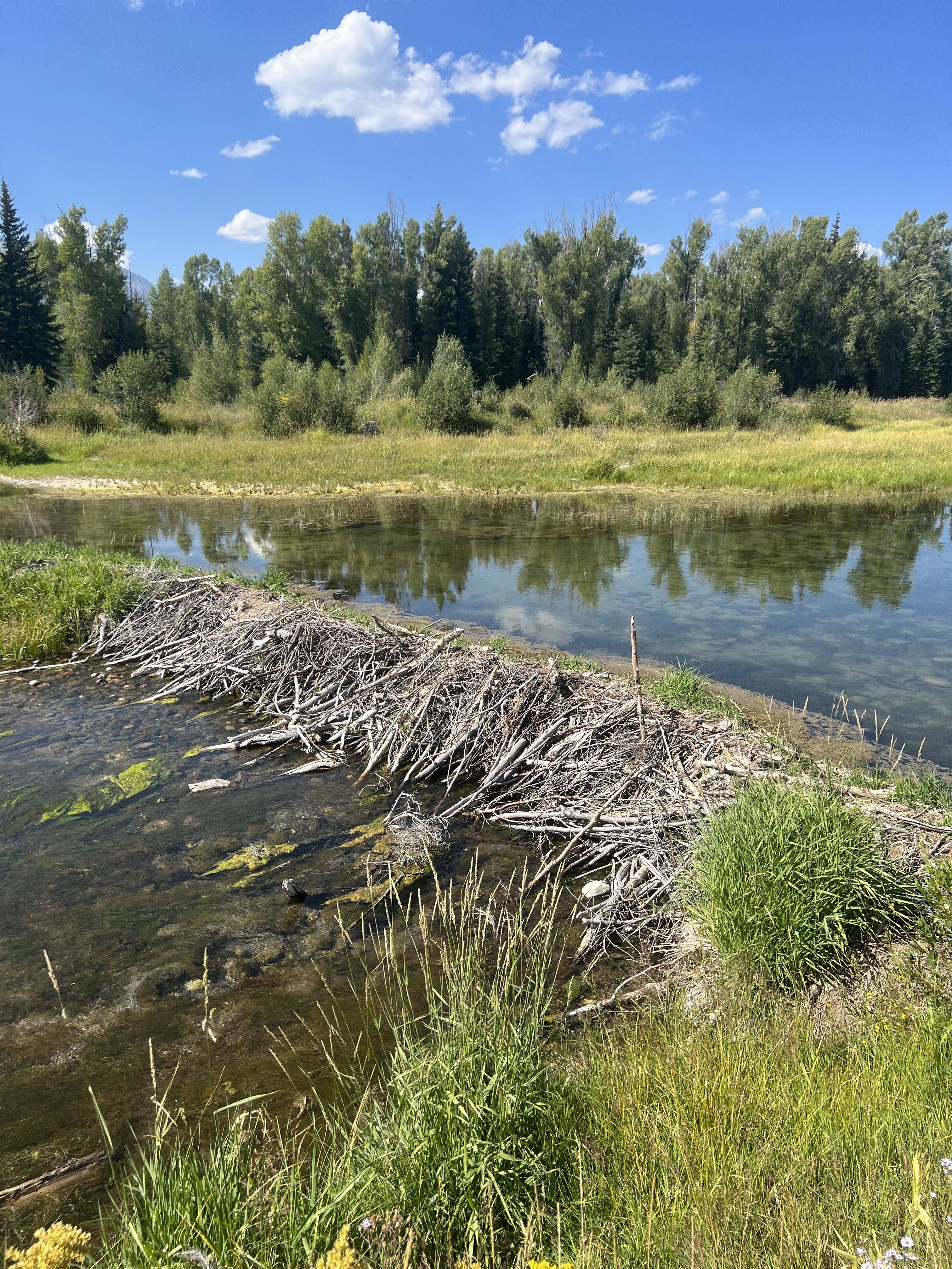 grand teton national park, wyoming, western us, national parks, grand tetons mountains, wyoming travel guide, obsidian tours, wyoming travel guide, grand teton travel guide, grand teton tour guide