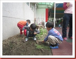 1020424蔬菜 051 (Custom)