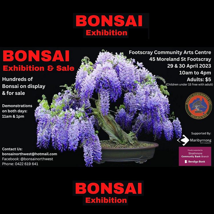 Bonsai Exhibition (Footscray)