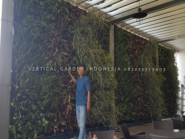 VERTICAL GARDEN INDONESIA SPESIALIS JASA PEMBUATAN VERTICAL GARDEN DI SIDOARJO DAN DI SELURUH WILAYAH SIDOARJO DENGAN TENAGA YANG PROFESIONAL DAN DAPAT DI PERCAYA YANG SELALU MENGUTAMAKAN SEBUAH MUTU DAN KUALITAS PEMASANGAN VERTICAL GARDEN/TAMAN DINDING, JASA TUKANG TAMAN VERTICAL SIDOARJO, JASA VERTICAL GARDEN SIDOARJO