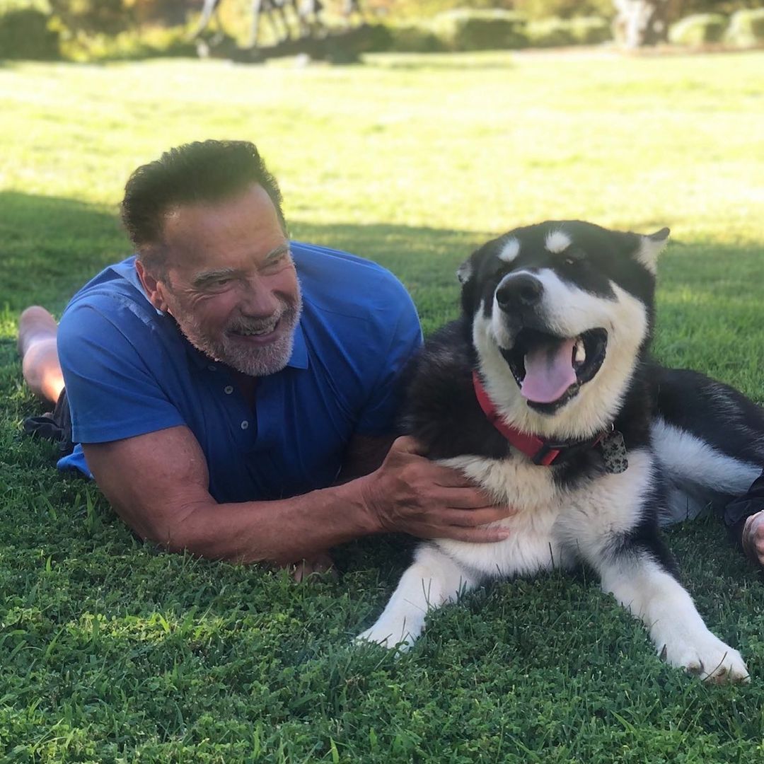 Arnold Schwarzenegger and his dog Dutch