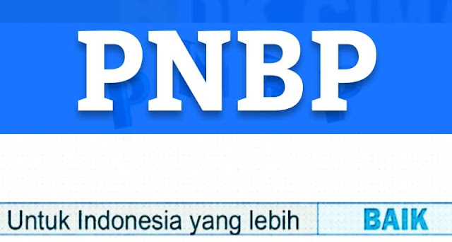 Suahasil Nazara Ugkap PNBP Tumbuh 21,7 Persen karena BLU, Dividen dan Surplus BI